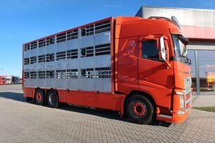 xe chở gia súc Volvo FH 460