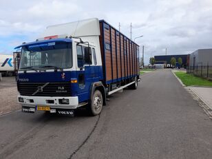 xe tải chở gia súc Volvo Fl615