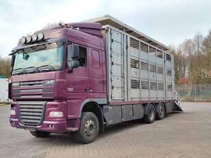 xe chở gia súc DAF XF105/460 6x2 Élőállat szállító